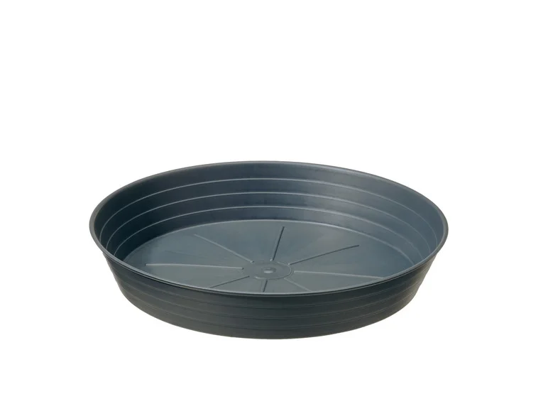 PARKSIDE® Blomsterpotte med sausplanter, 28 cm