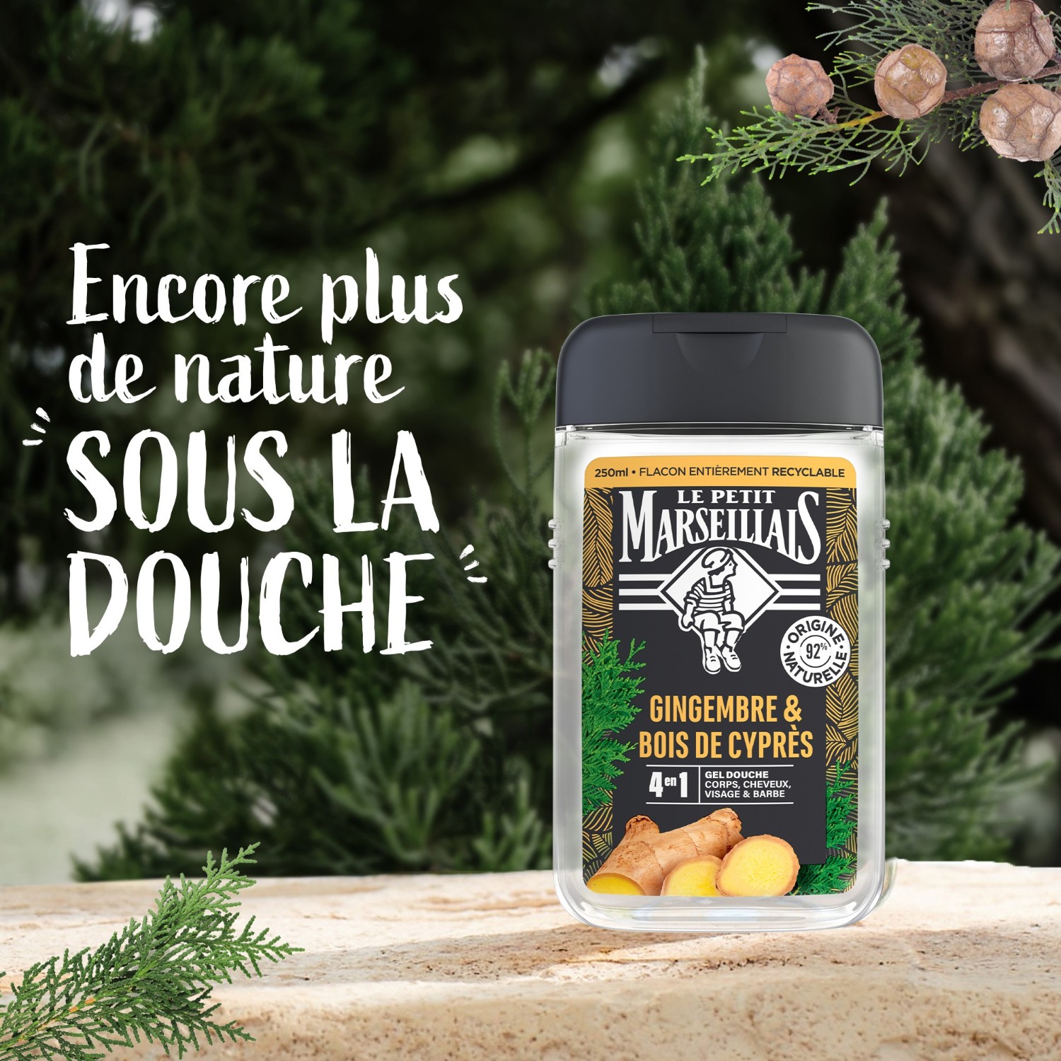 Le Petit Marseillais DOUCHE HOMME GINGEMBRE & BOIS DE CYPRES