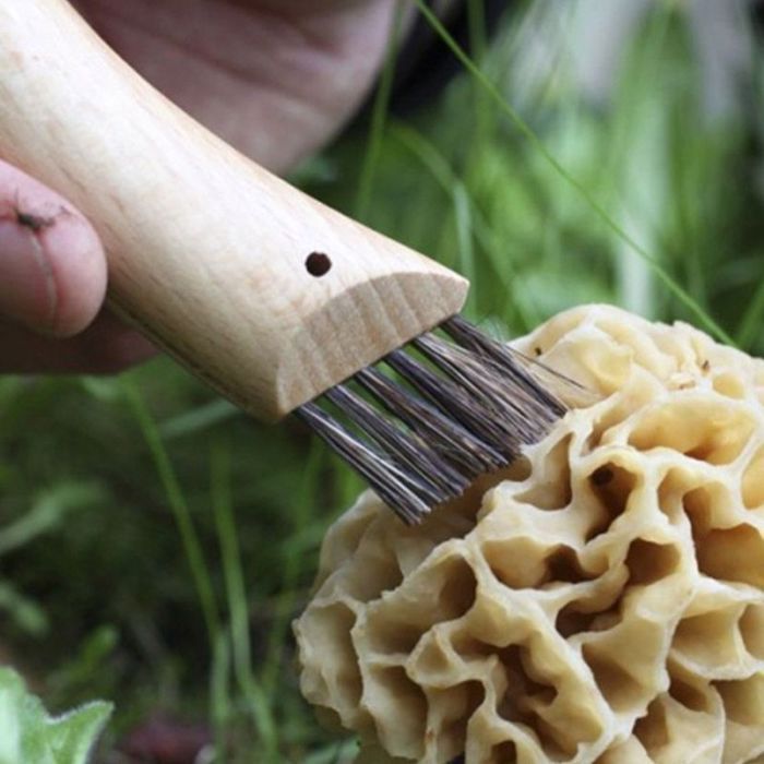 coltelli per funghi Opinel, 8 cm