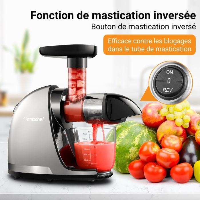 AMZCHEF- Gris - Extracteur de Jus de Fruits et Légumes - Presses-agrumes à Froid sans BPA