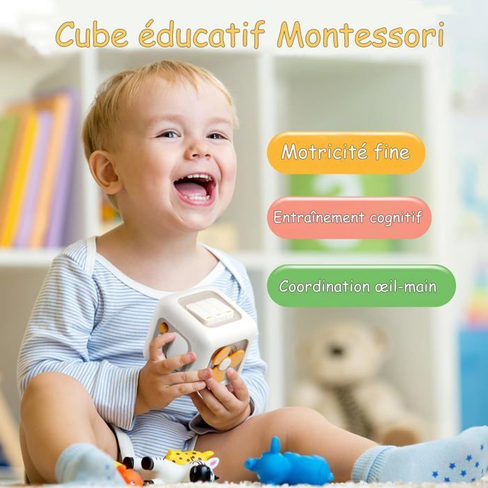 6-in-1 Sensory Activity Cube - ZUUKO - 8.89 x 8.89 x 9.14 cm - 190 g - For ages 12 months to 3 years - Cognitive Development
