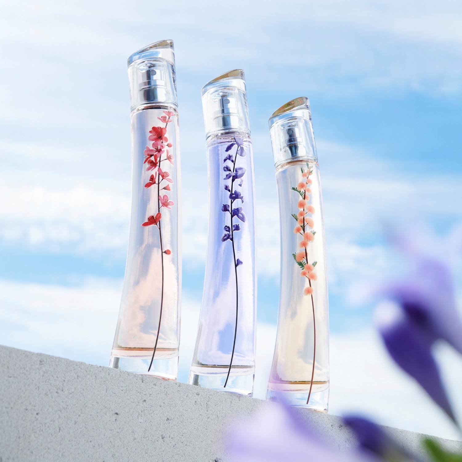 Parfimska voda KENZO Flower von Kenzo Ikebana Indigo - 40 ml