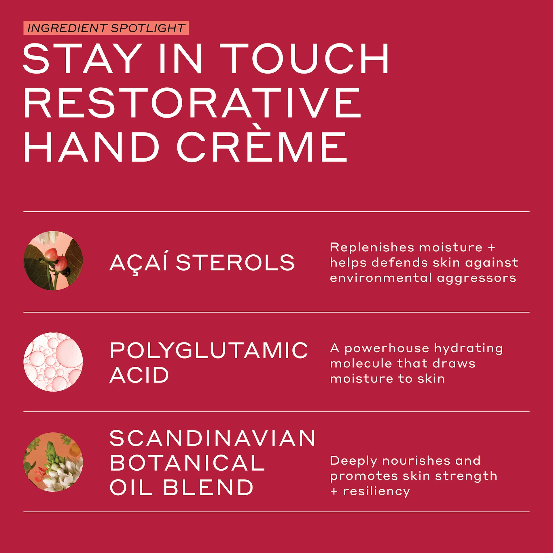 Stay In Touch helyreállító kézkrém 75 ml - Ole Henriksen