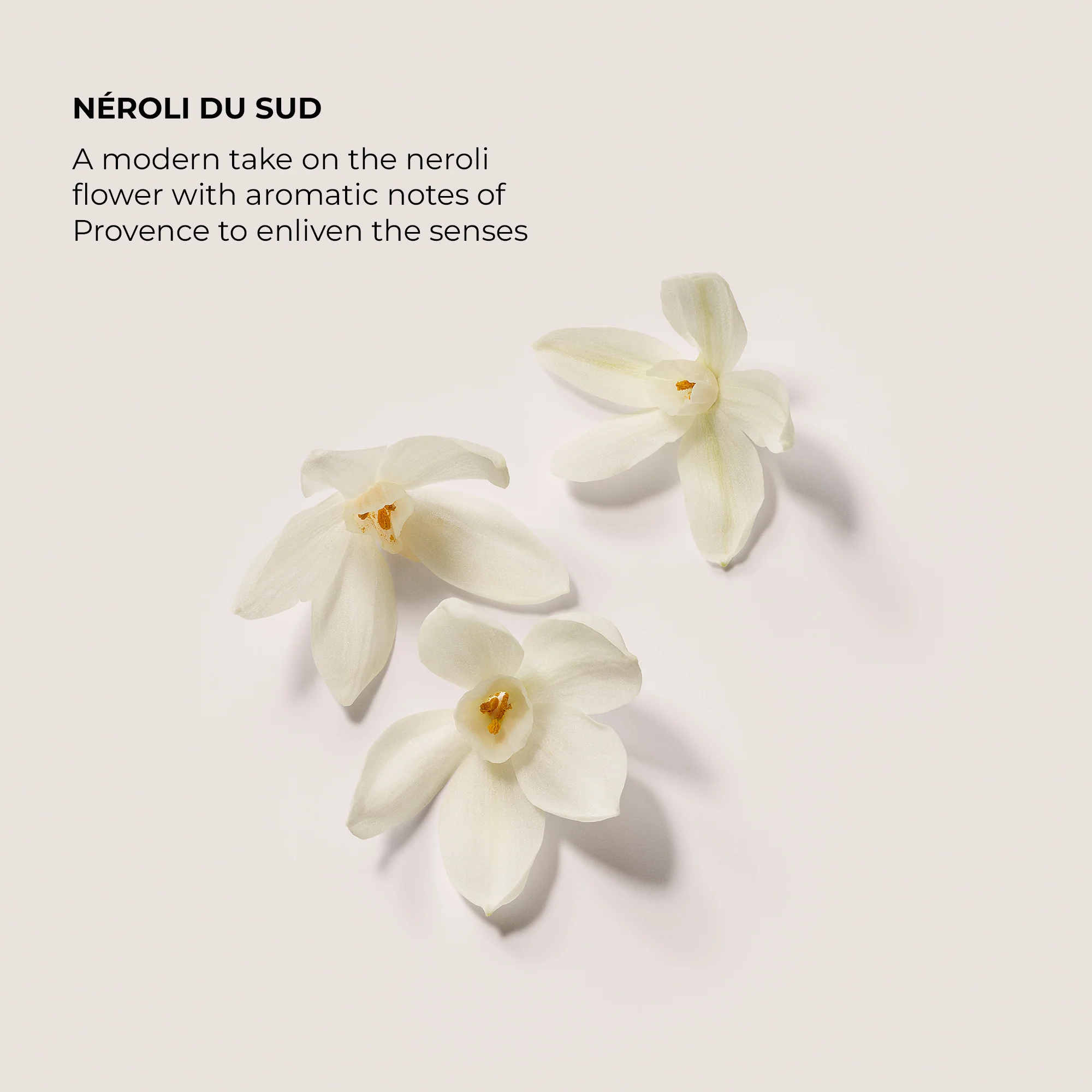 Detergente Corpo Exfoliating Body Wash Néroli du Sud - Esfoliante