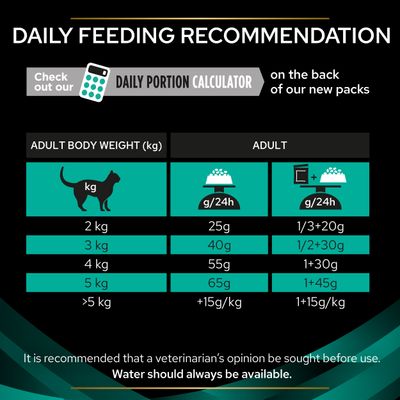 PURINA PRO PLAN Veterinary Diets Feline EN ST/OX – Ruoansulatuskanavan oireisiin