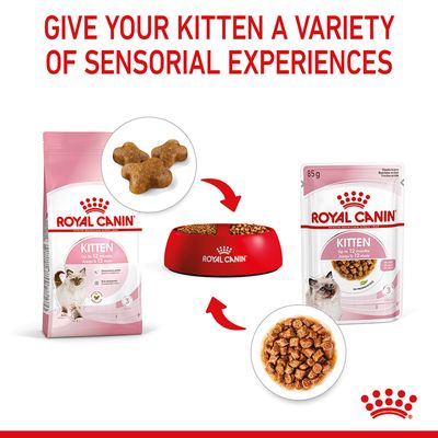Royal Canin Pisici în Sos