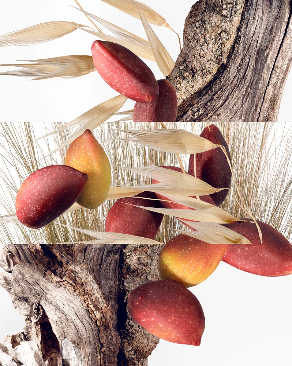 HERMÈS UN JARDIN À CYTHÈRE EAU DE TOILETTE