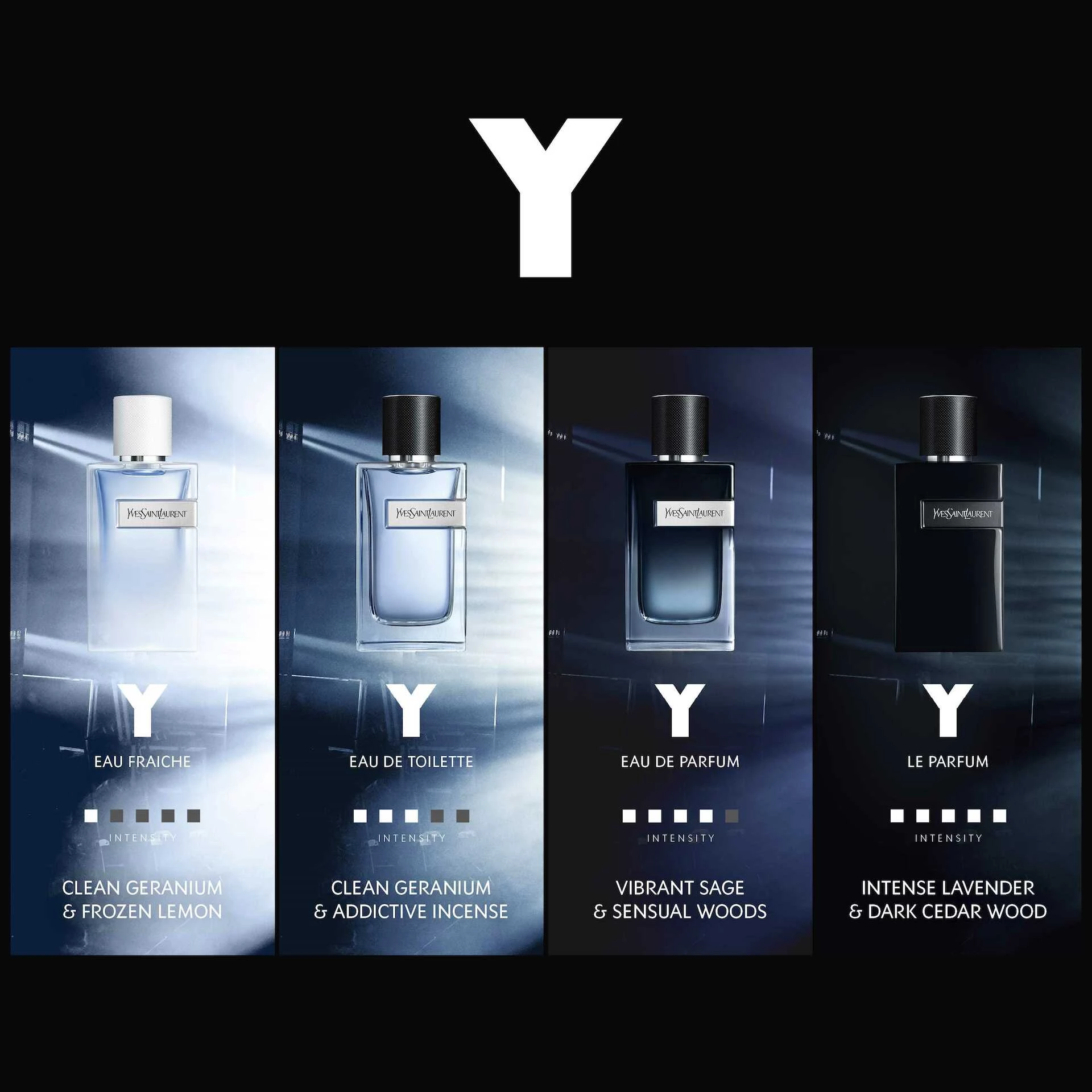 Y EdT 60 ml - Yves Saint Laurent