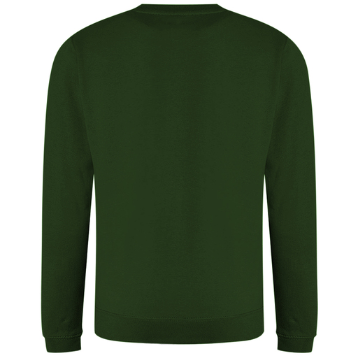 Sudadera Lisa Con Cuello Redondo Awdis