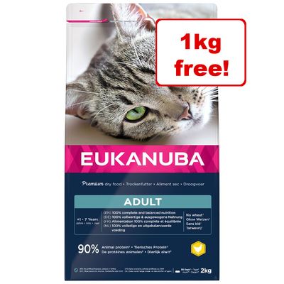 confezioni da 2 kg di cibo secco per gatti Eukanuba - 1 kg in più in omaggio!*