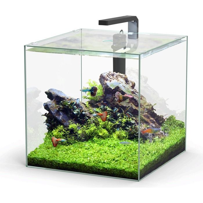 Aquarium poisson Kubus 54L noir - Aquatlantis Noir