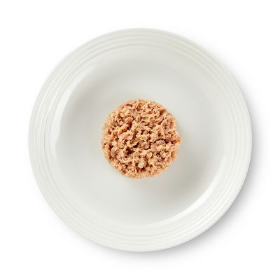 Sachê de gelatina Encore Kitten, 5 unidades de 50g
