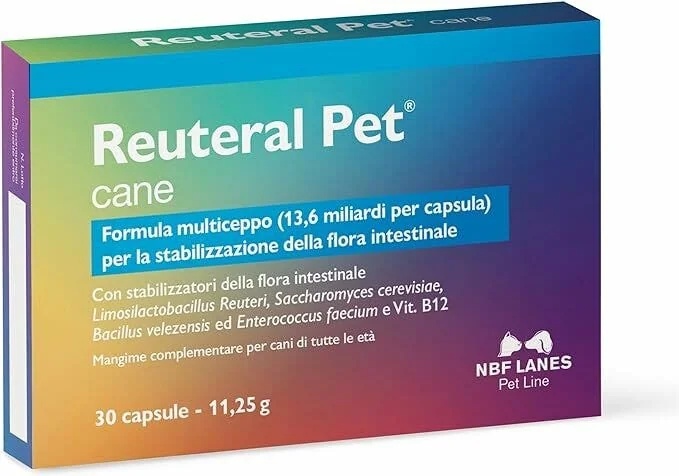 Reuteral Pet Cane Caps 30 estabilização da flora bacteriana