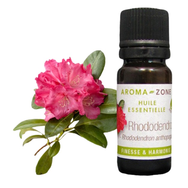 Ätherisches Bio-Rhododendronöl