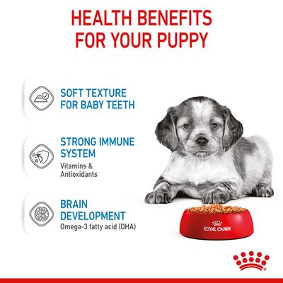Royal Canin Medium Puppy i saus