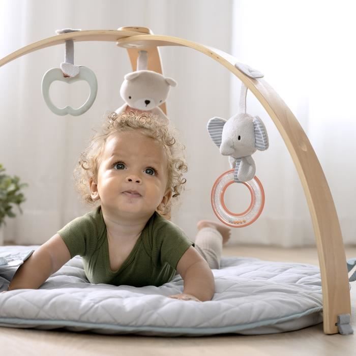 INGENUITY Tapis d'éveil réversible  bébé évolutif - Loamy™ -  pliable, arche de jeu en bois amovible, 5 jouets,cadeau bébé