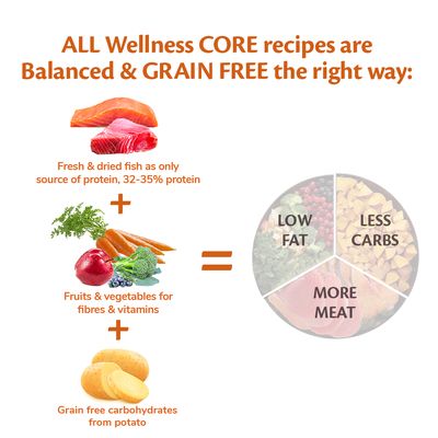 Wellness Core Medium & Large Adult Ocean Trockenfutter für Hunde