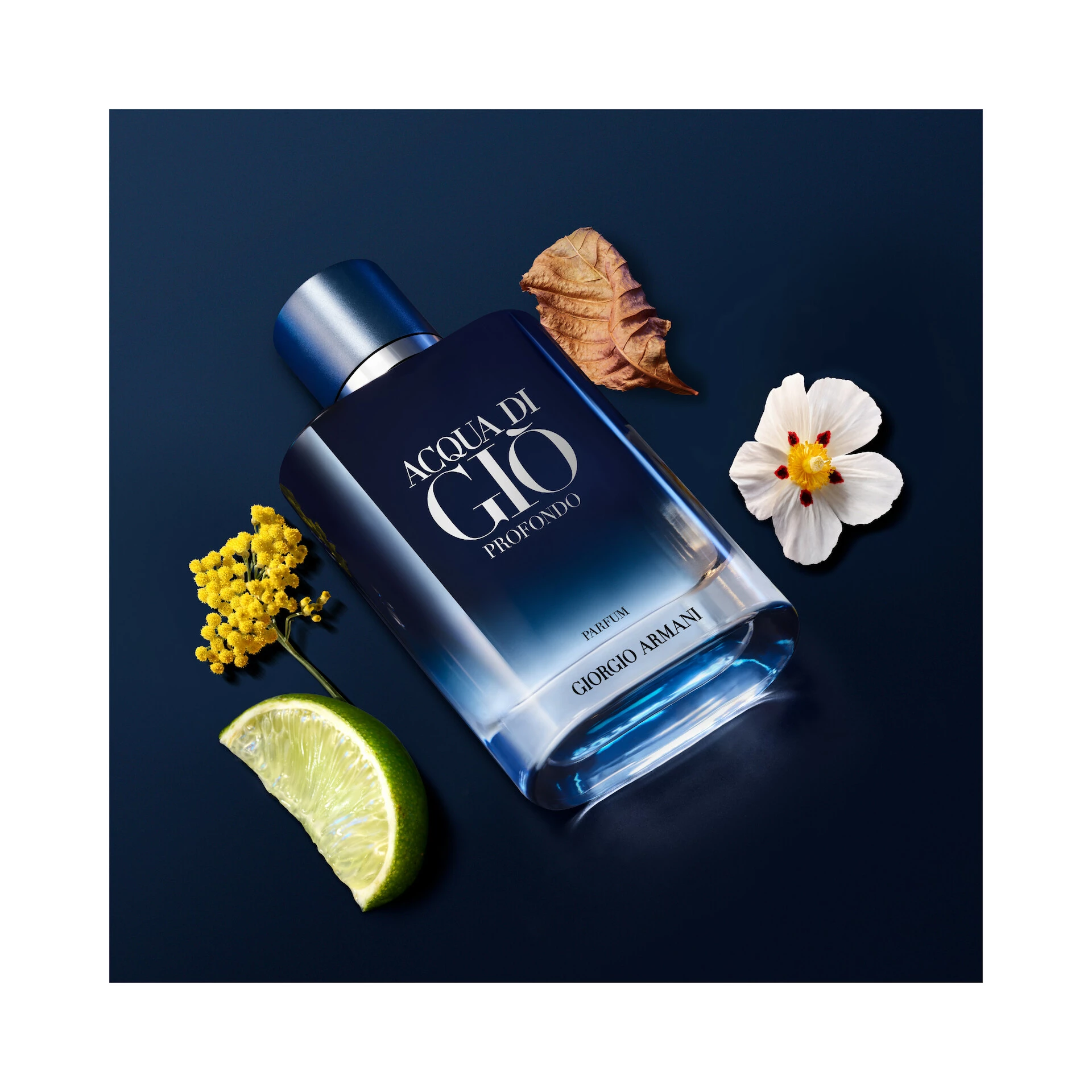 Acqua Di Giò Profondo Parfum 100 ml - Armani