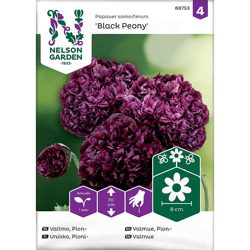 Semi di papavero e peonia nera del giardino Nelson