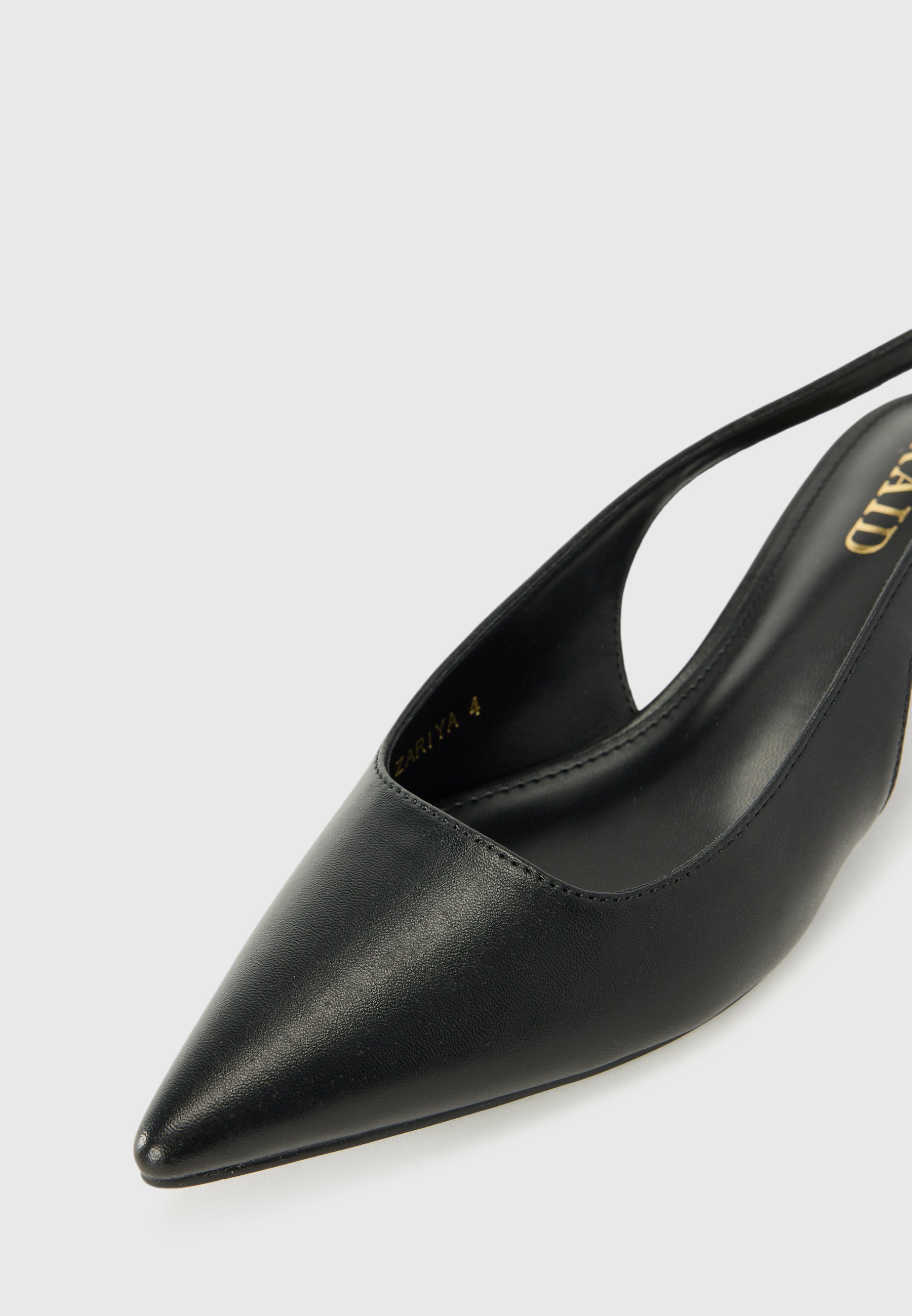 RAID ZARIYA - Klassiske pumps - black