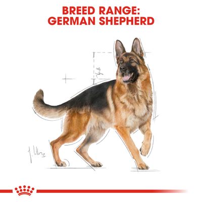 Royal Canin Schæferhund Adult