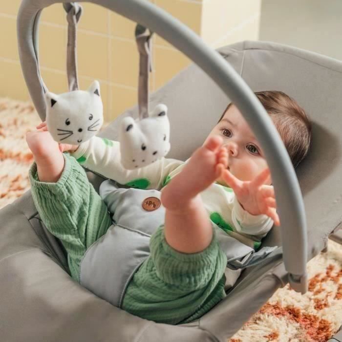BEBECONFORT ASTER, Ultra-flat, adjustable baby bouncer, 2 recline positions, toy bar included, From 0 to 3 years (15kg) TINTED GRAPHITE