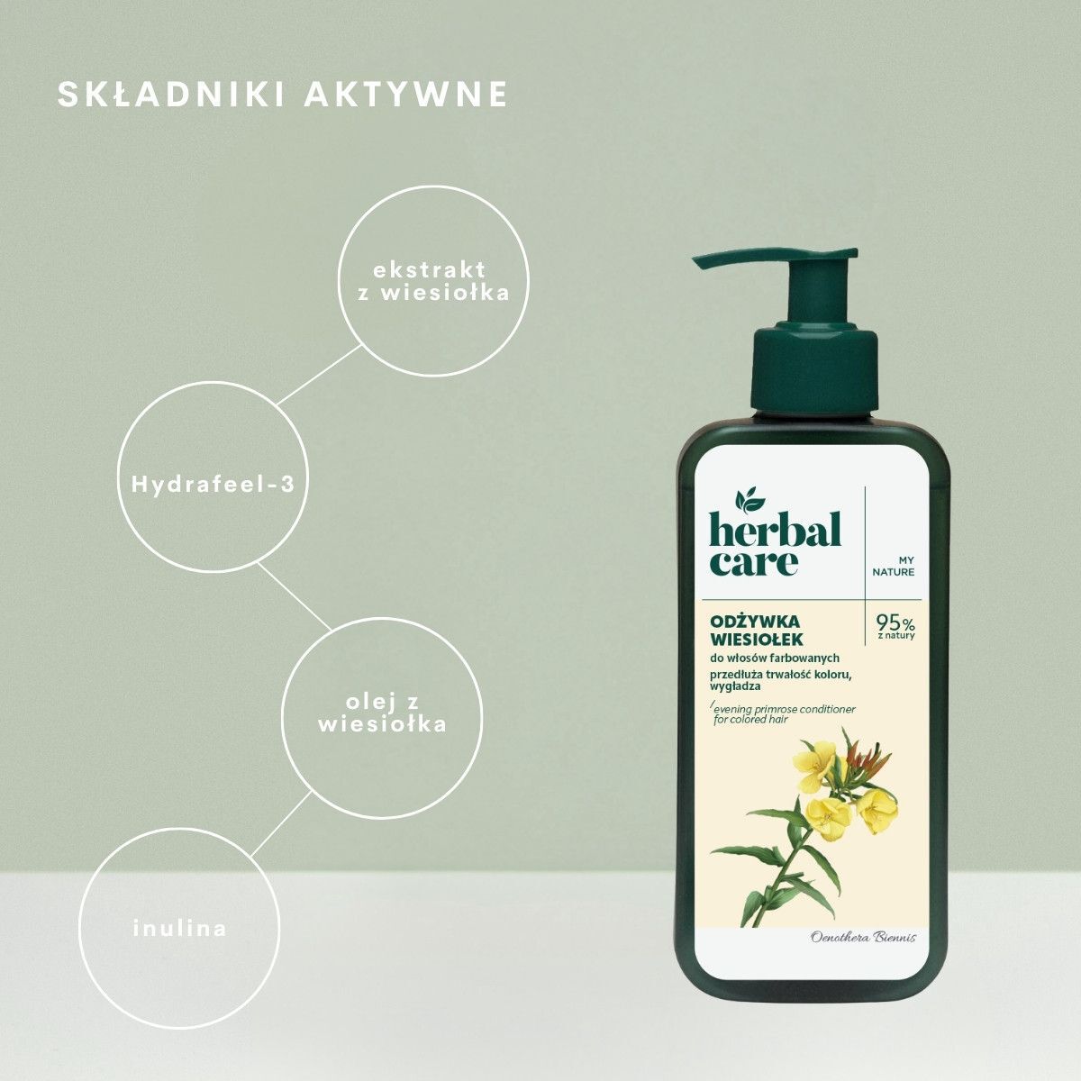 Kruidenverzorging Teunisbloem