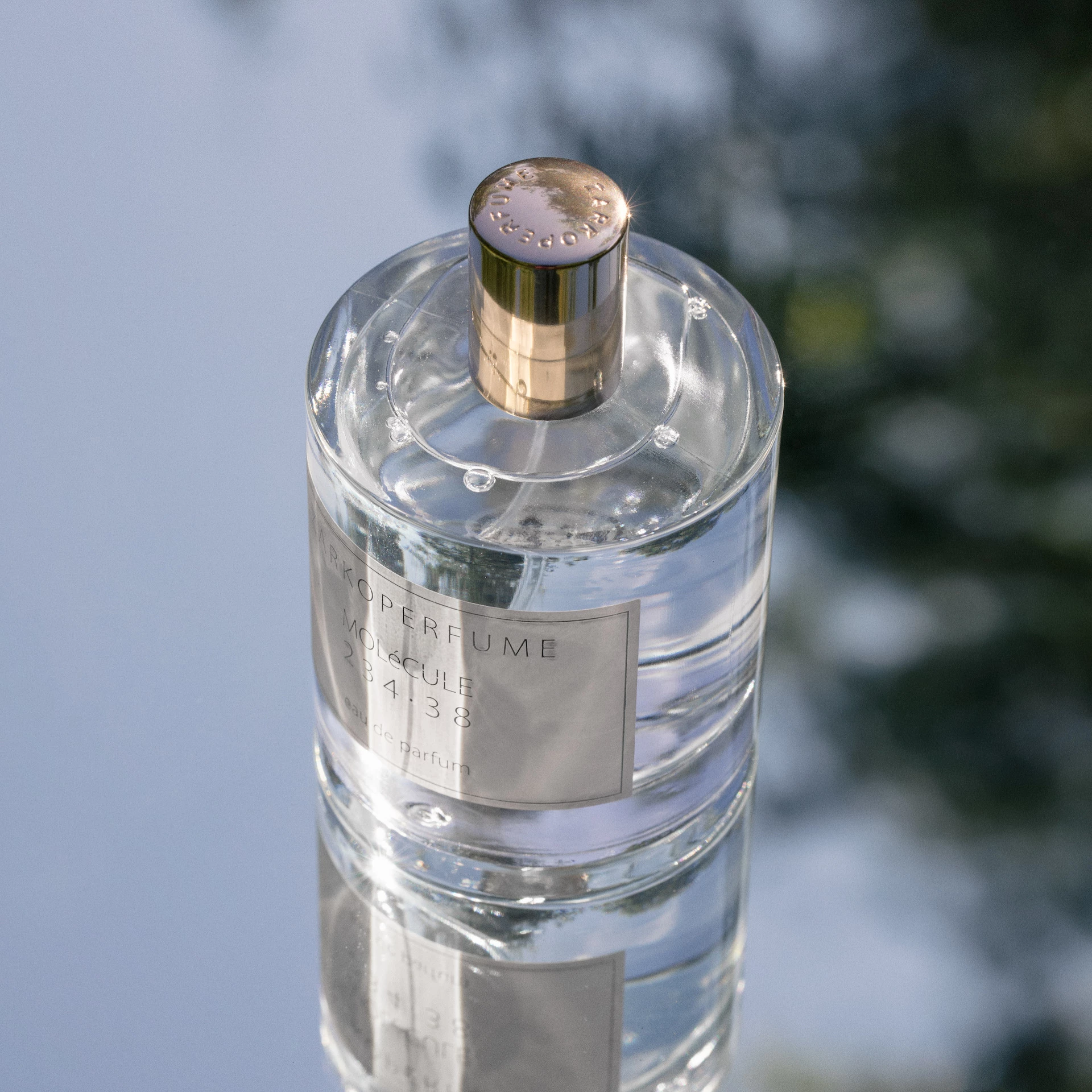MOLéCULE 234,38 EdP 100 ml - Zarkoperfumes
