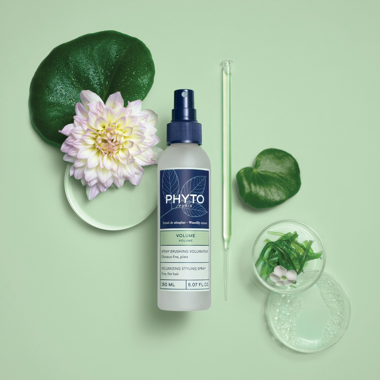 Phyto Spray Brushing Volumateur