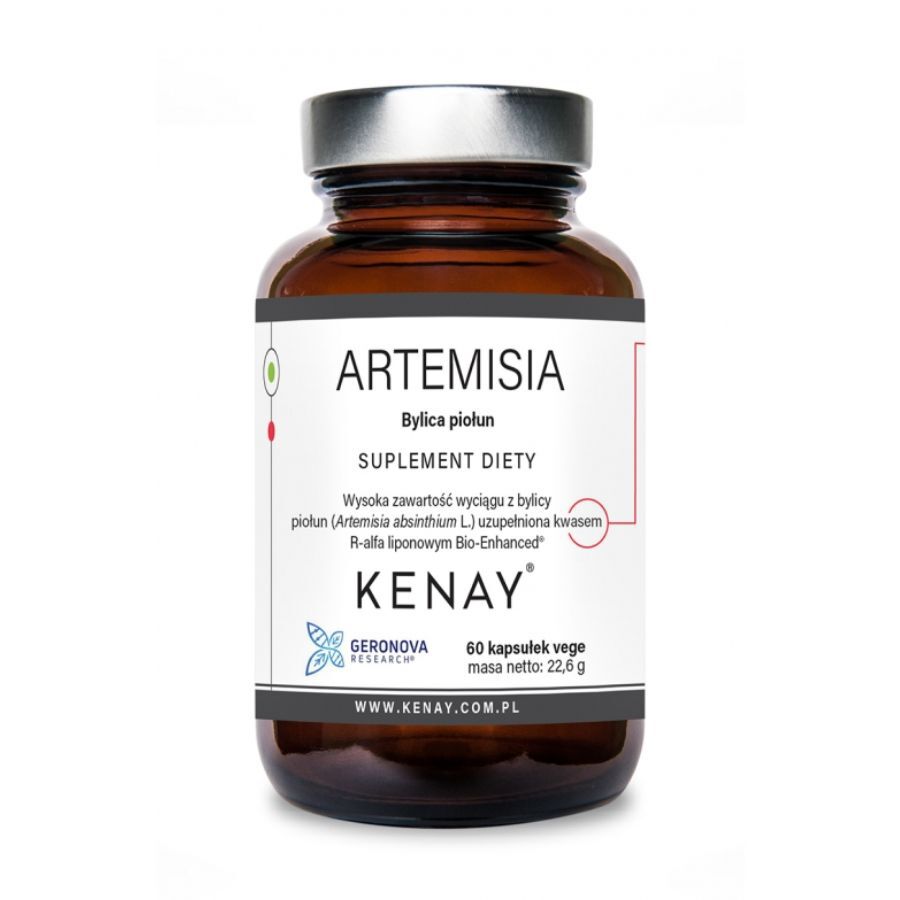 Artemisia Bylica Piołun