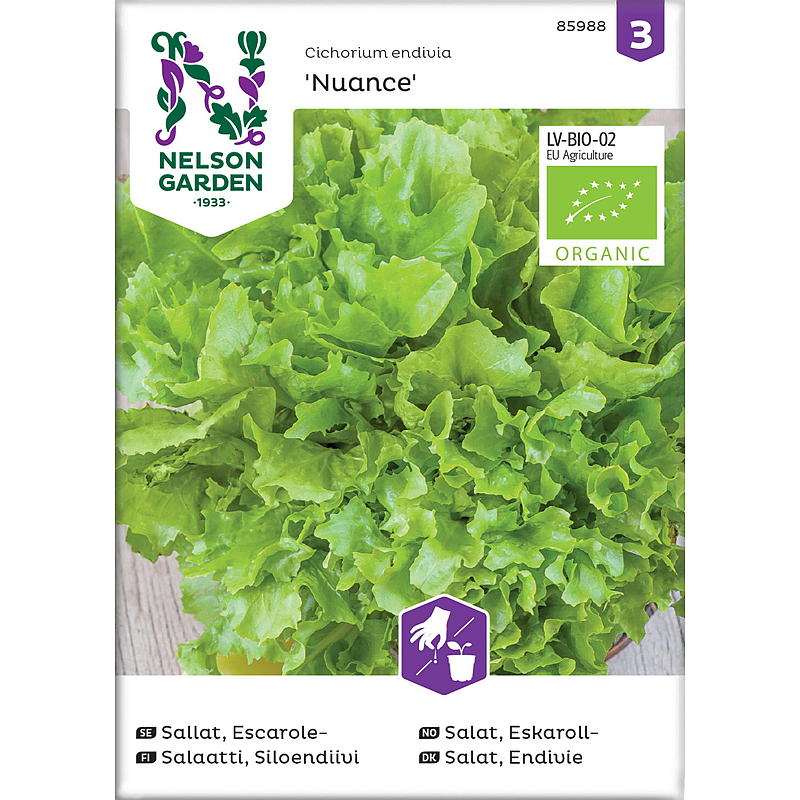Nelson Garden Seeds Salat Escarole, Nuance, økologisk