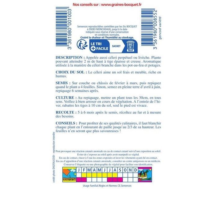 Semente - Aipo-da-montanha - Levístico