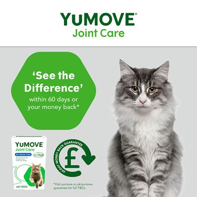 YuMOVE Soins articulaires pour chats âgés