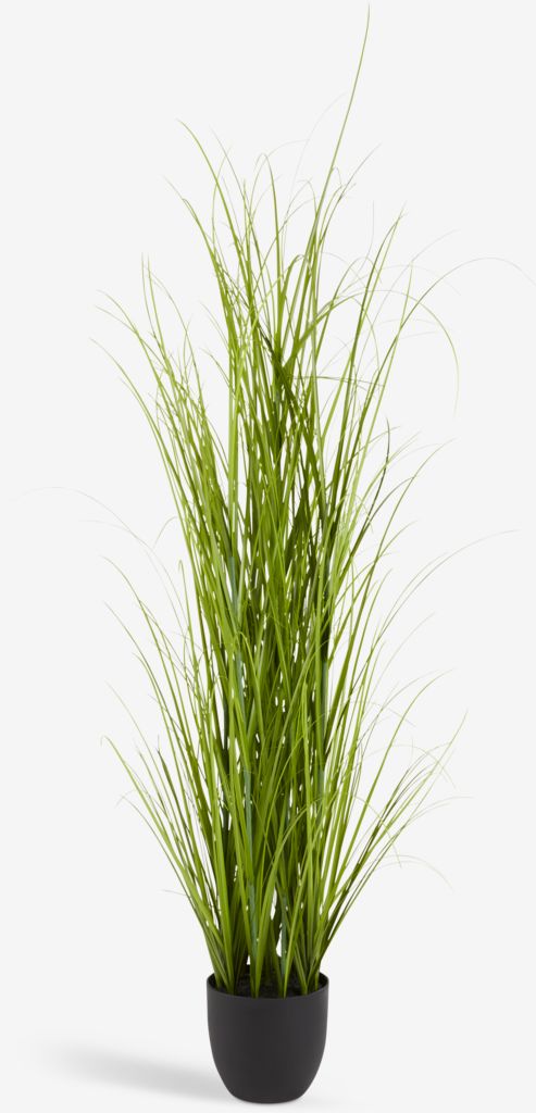 MARKUSFLUE Umetna rastlina MARKUSFLUE H90cm trava