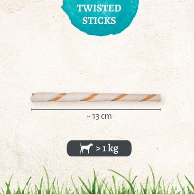 Bastoncini dentari 8 in 1 Pro Twist