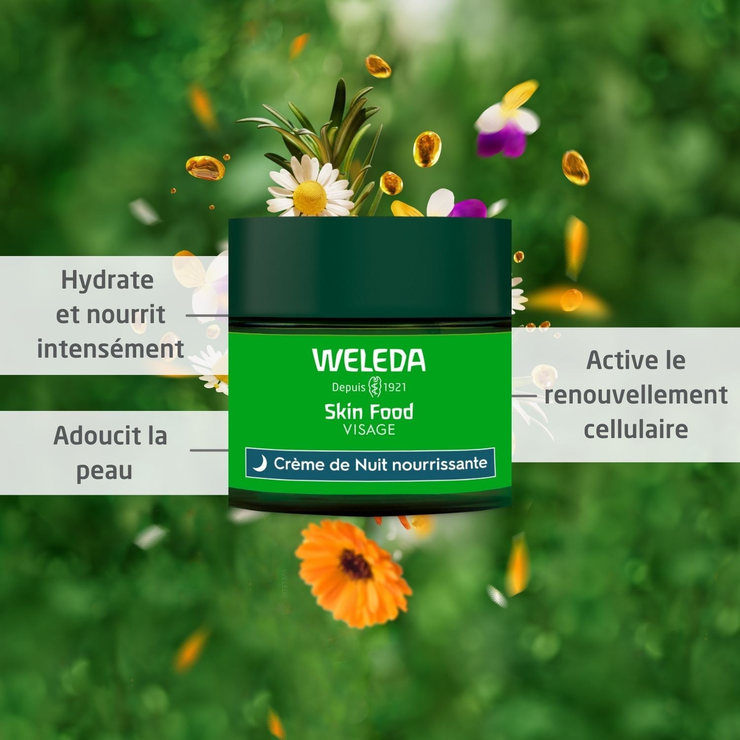 Weleda Skin Food Crème de Nuit nourrissante