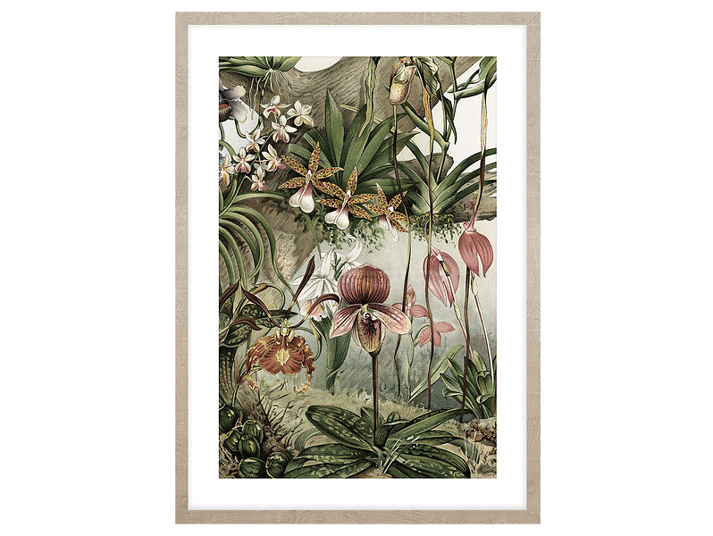 Obraz Orchidea I 50x70 cm