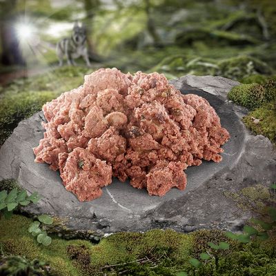 Wolf of Wilderness Adult Classic 6 x 800g