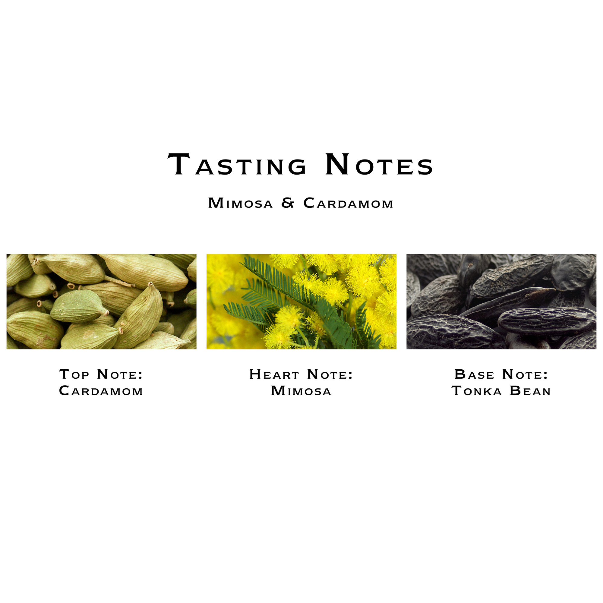 Mimosa & Cardamom Cologne 30 ml - Jo Malone London