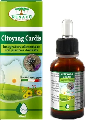 CITOYANG Citoyang Cardis druppels 50 ml
