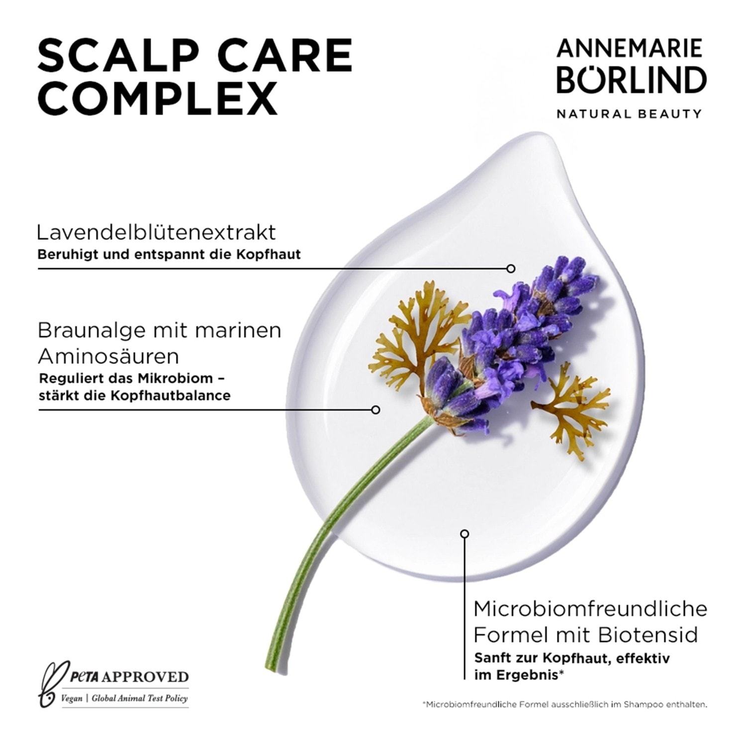 ANNEMARIE BÖRLIND Haarshampoo - 250 ml