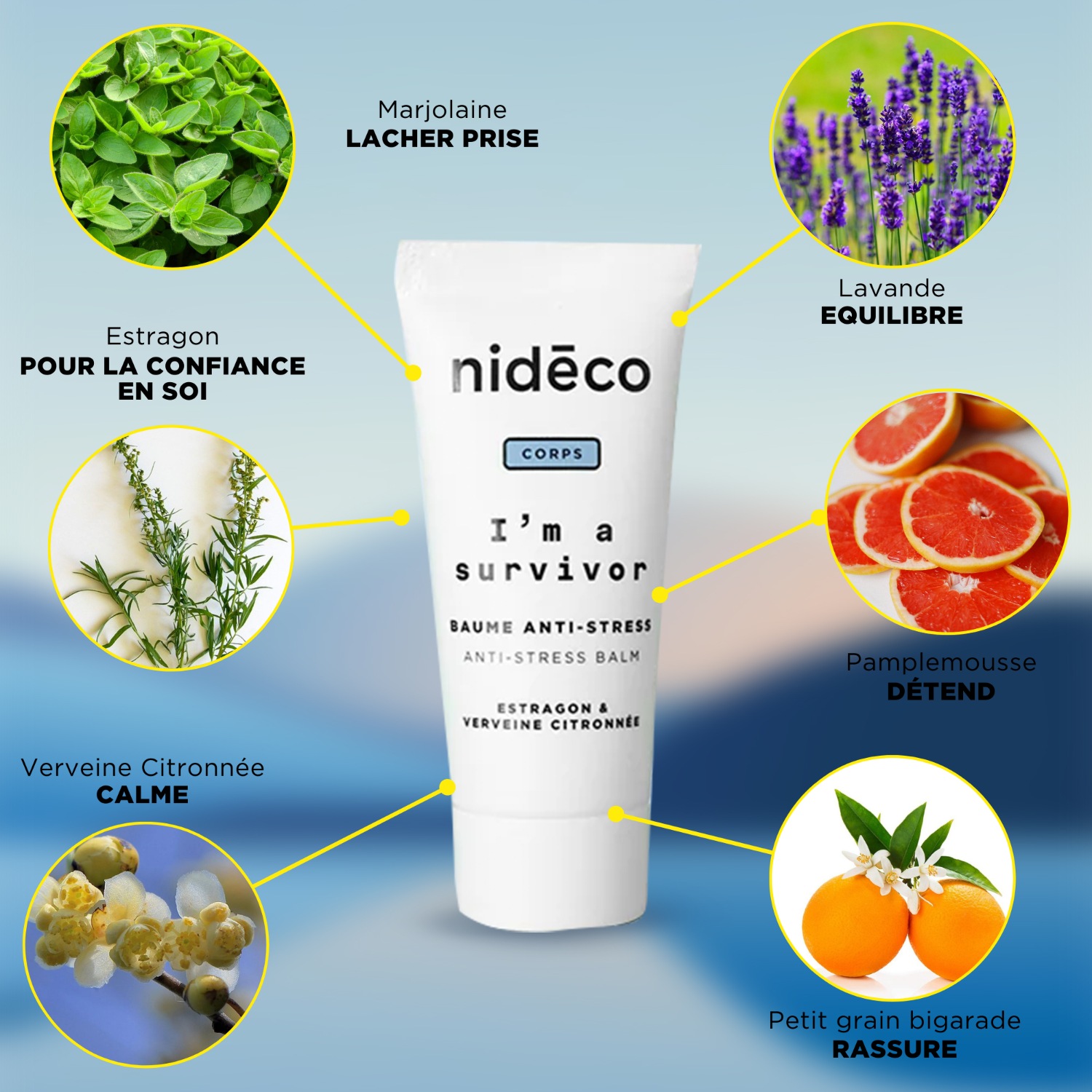 Nidéco I'm A Survivor