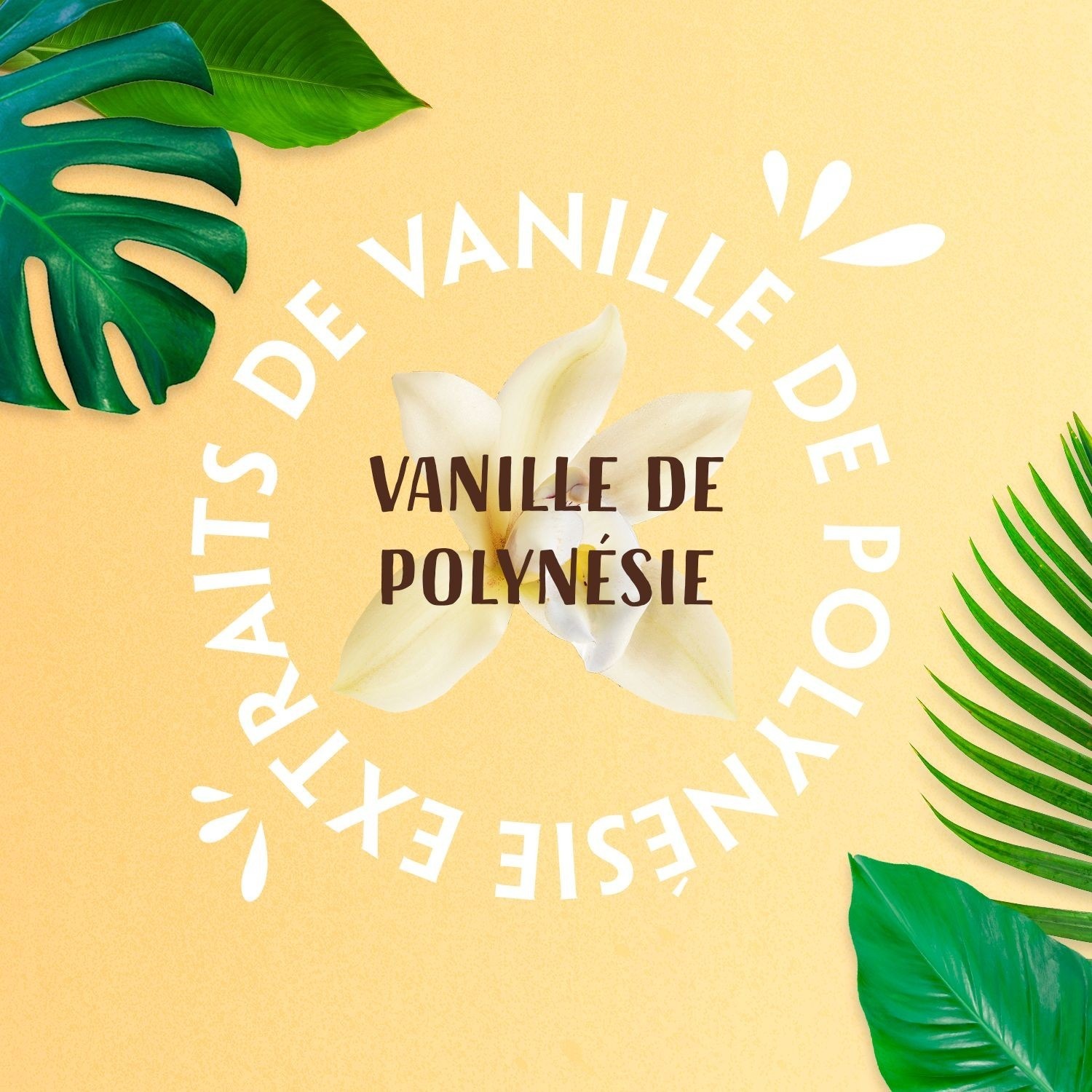 Lovea Gelée de Douche Vanille de Polynésie