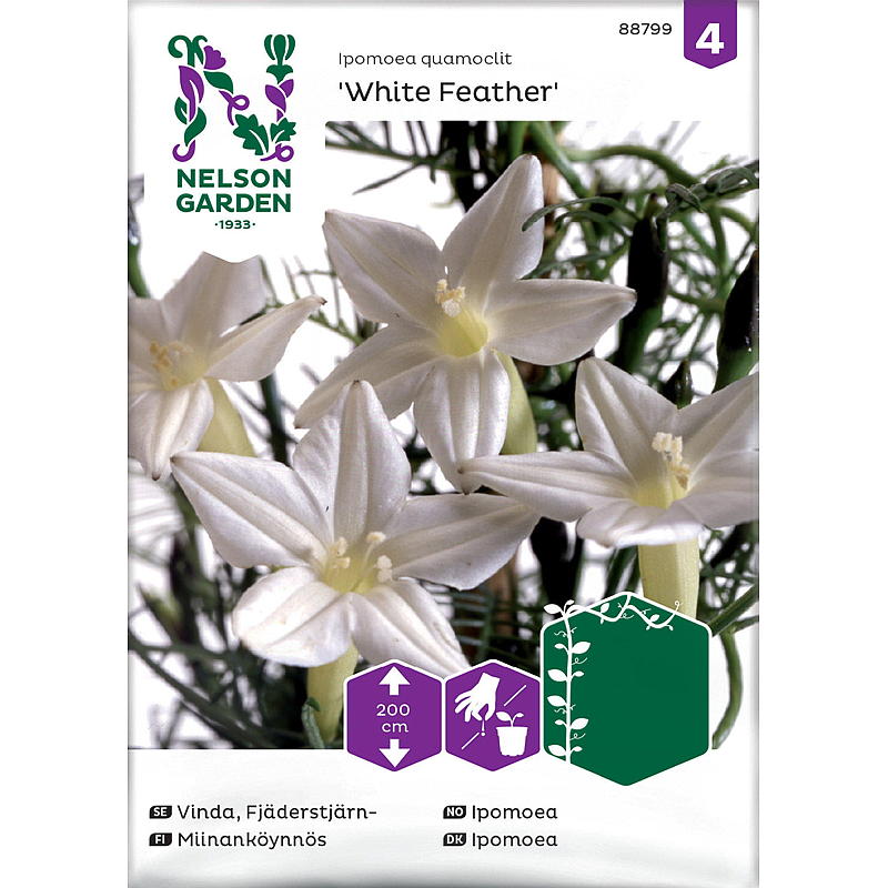 Nelson hagefrø Ipomoea hvit fjær