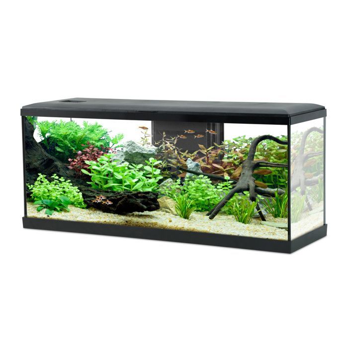 Acuario Zolux Tana LED para peces, 100 cm, negro - Negro