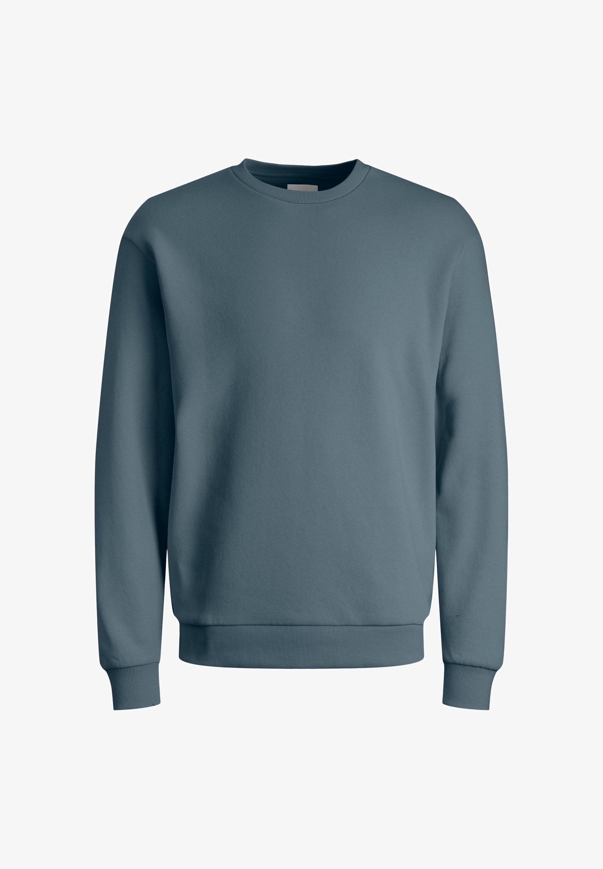 Jack & Jones JJEBRADLEY CREW - Dressipluus - tormine ilm