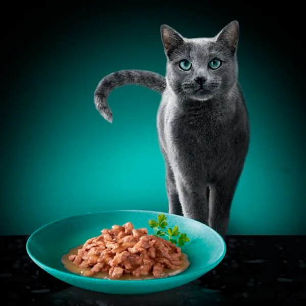 Sheba Délices du Jour u umaku s lososom, tunom i pastrvom u vrećicama za mačke<br>36 x 50 g