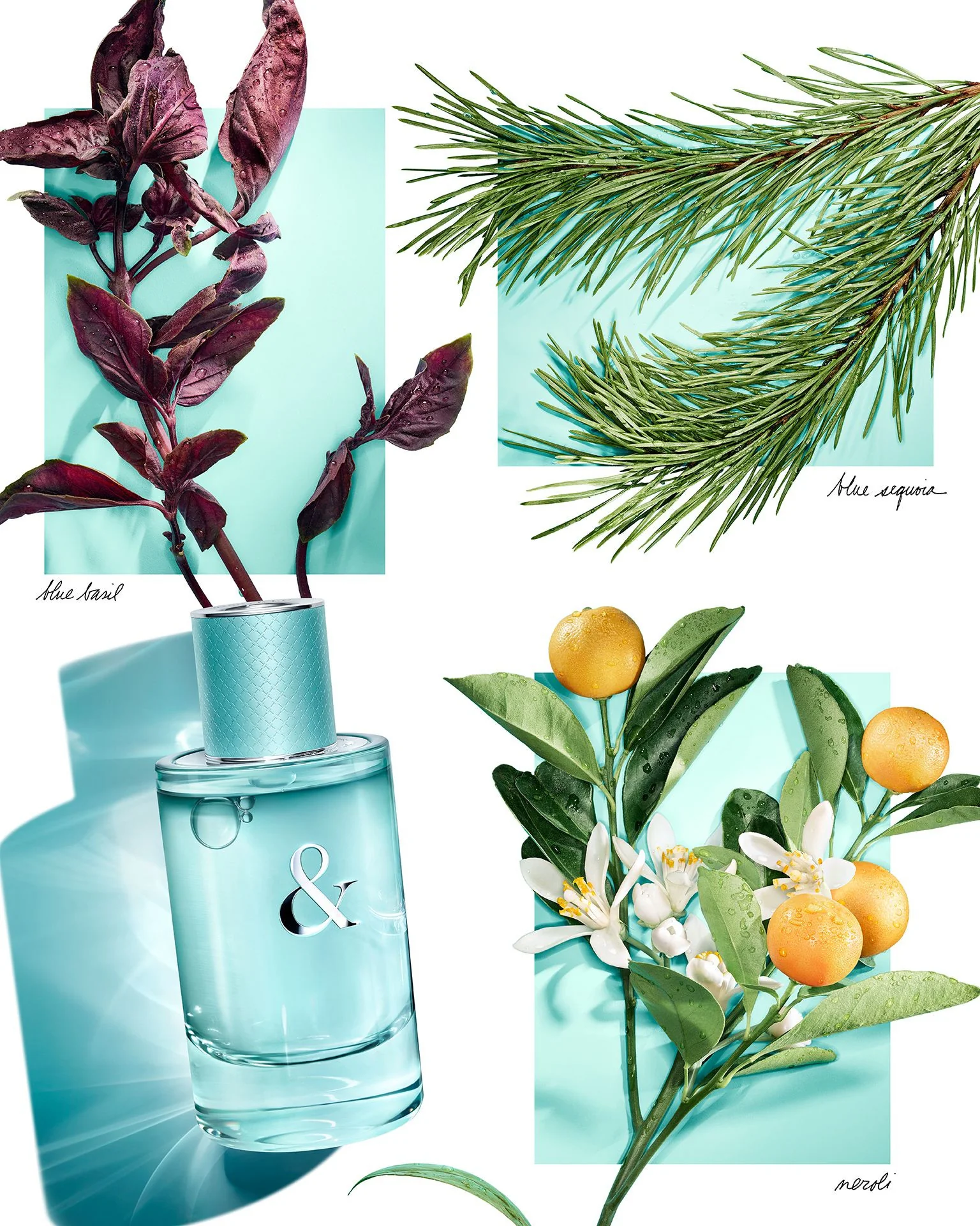Tiffany & Love For Her Tiffany & Love For Her - Eau de Parfum