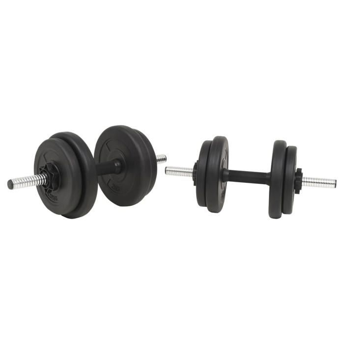 Juego de mancuernas vidaXL, barras de 30 kg, entrenamiento con pesas 91400
