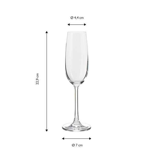 Sekt-/Champagnerkelche Dagelijks, 210 ml, 6er Set